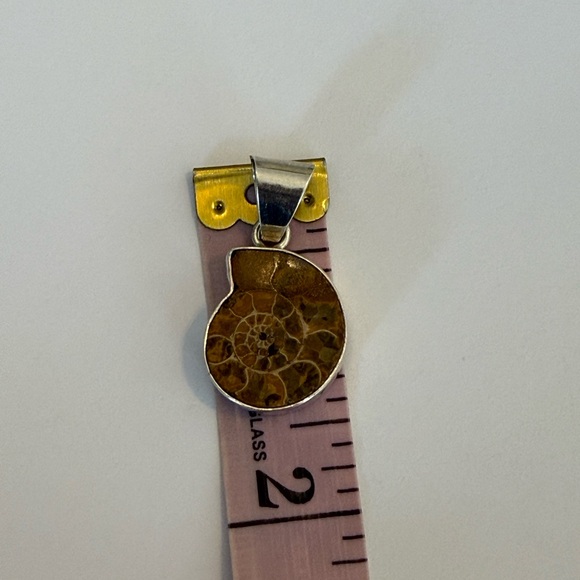 Charles Albert Brown Ammonite Fossil Pendant with Sterling Silver Frame - Picture 3 of 4